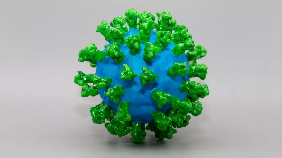 Model of covid-19 virus